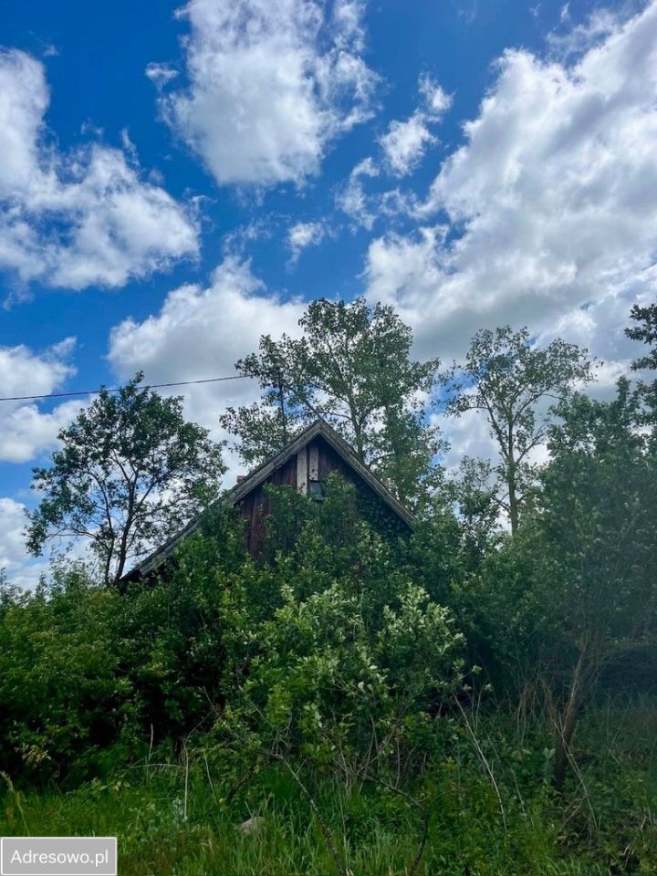 Działka siedliskowa Stegna. Zdjęcie 7