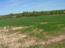 Działka budowlana Zwierzyniec Trzeci. Zdjęcie 2