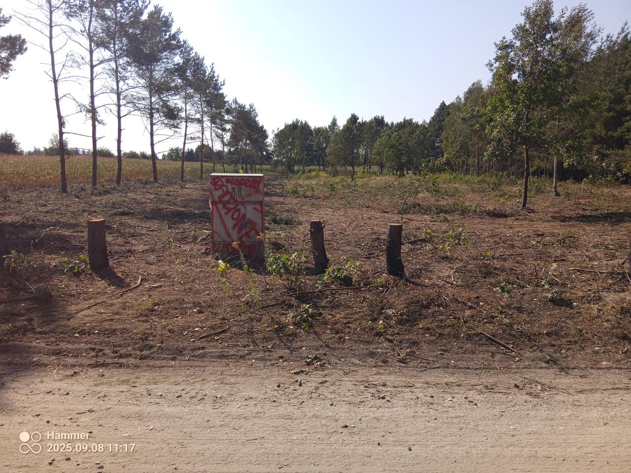 Działka rolno-budowlana Bieniew. Zdjęcie 3