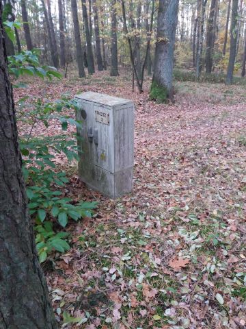 Działka leśna Józefina Murowaniec. Zdjęcie 8
