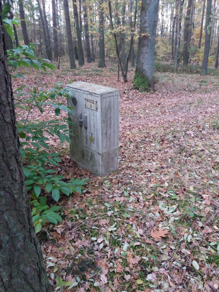 Działka leśna Józefina Murowaniec. Zdjęcie 8