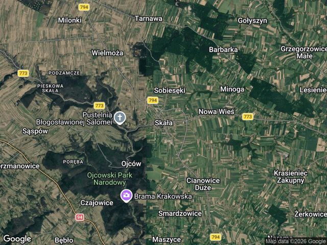 Działka rolno-budowlana Skała, ul. Marianów. Zdjęcie 1