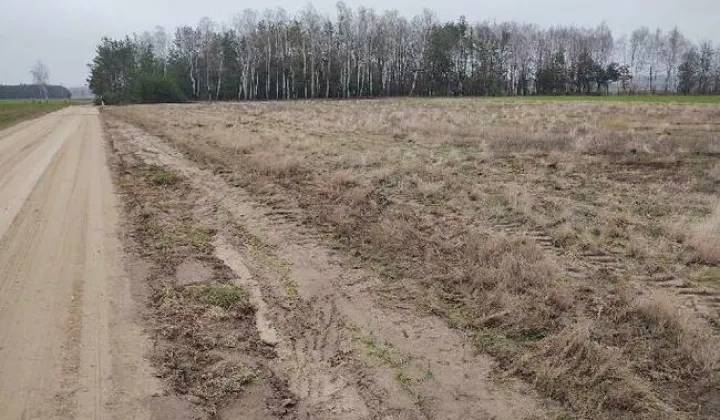 Działka rekreacyjna Napiórki Butne