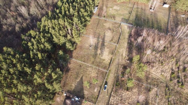 Działka budowlana Zalesie Borowe. Zdjęcie 6