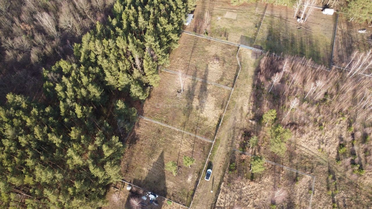 Działka budowlana Zalesie Borowe. Zdjęcie 6