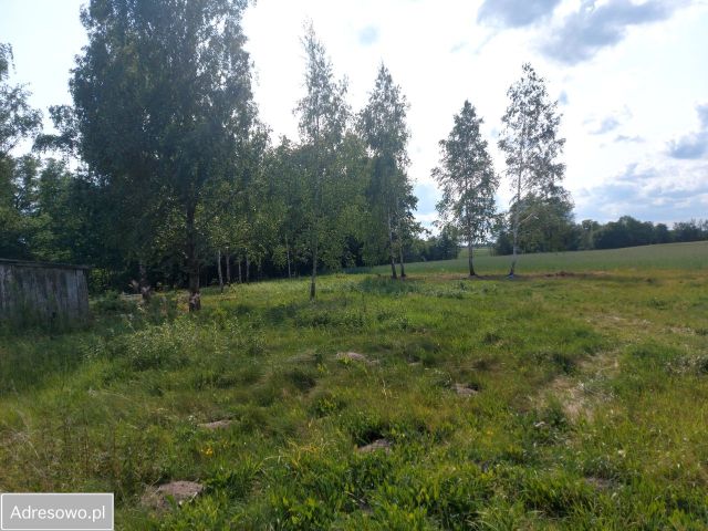 Działka Malanowo Stare. Zdjęcie 1