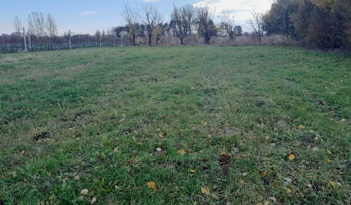 Działka rolno-budowlana Ruszcza-Płaszczyzna