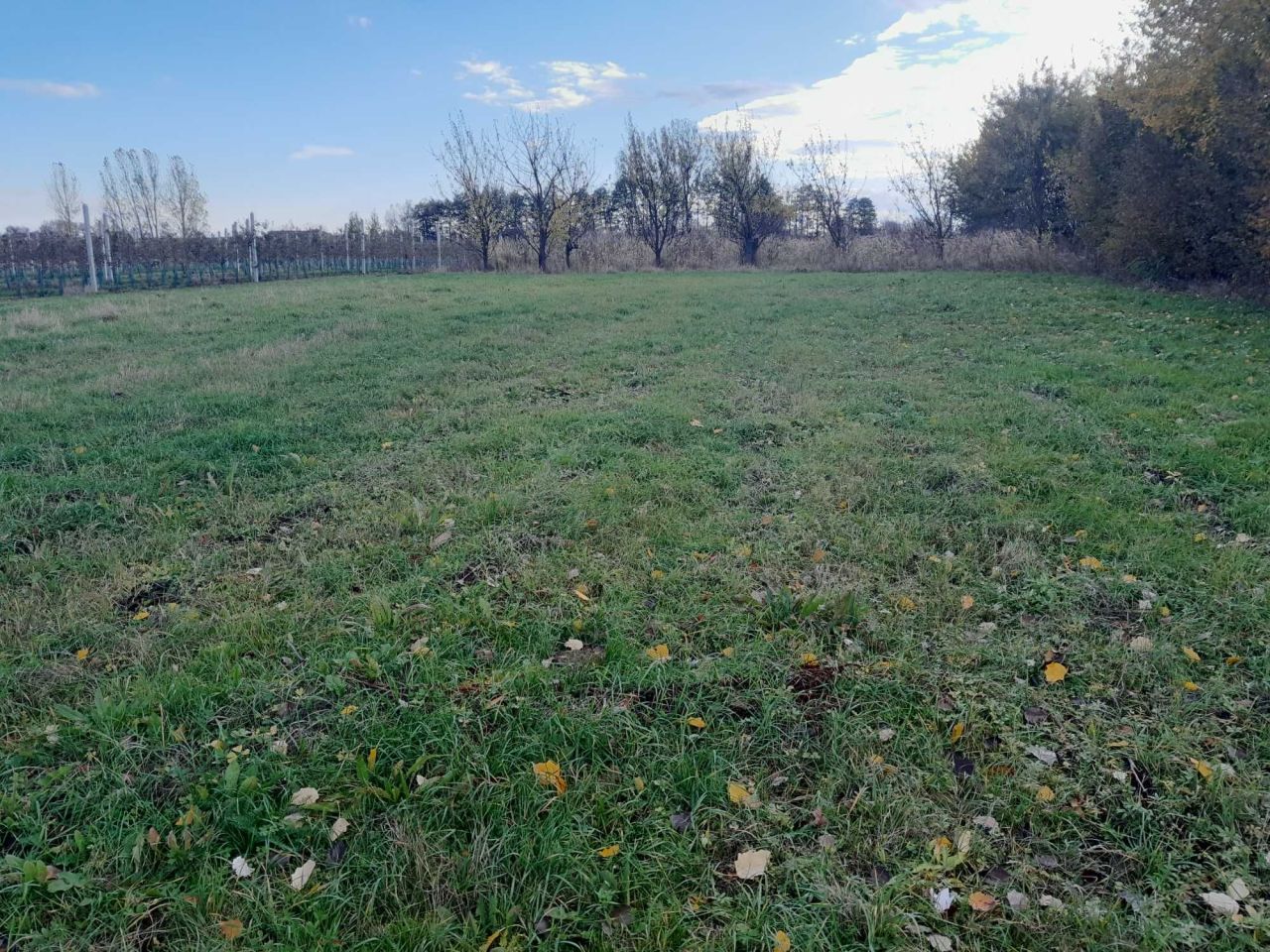 Działka rolno-budowlana Ruszcza-Płaszczyzna