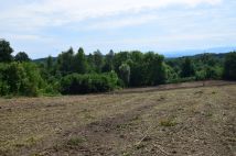 Działka budowlana Raciborsko. Zdjęcie 2