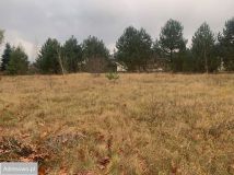 Działka budowlana Grabówiec. Zdjęcie 4