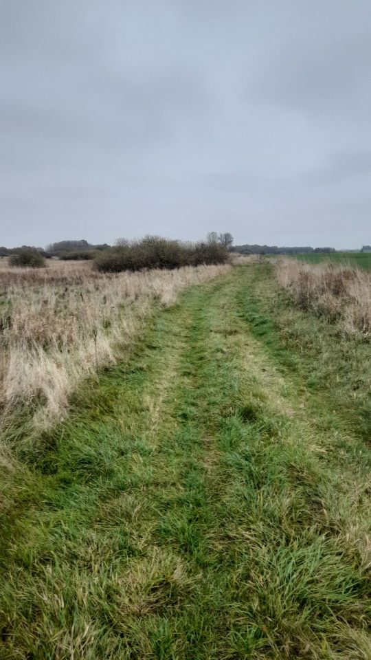 Działka rekreacyjna Barzowice. Zdjęcie 6