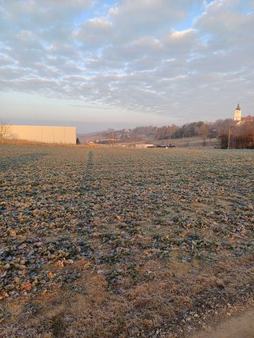 Działka budowlana Brzezie. Zdjęcie 1