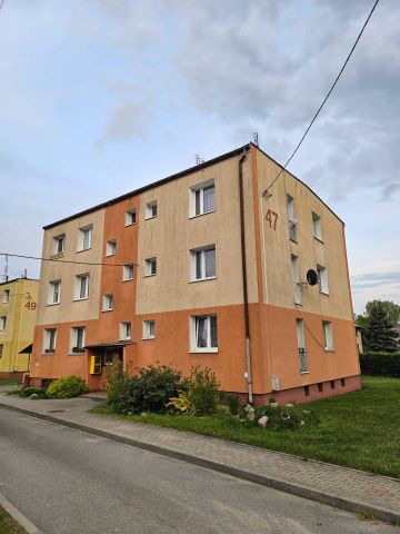 Mieszkanie 1-pokojowe Dobrocin. Zdjęcie 1