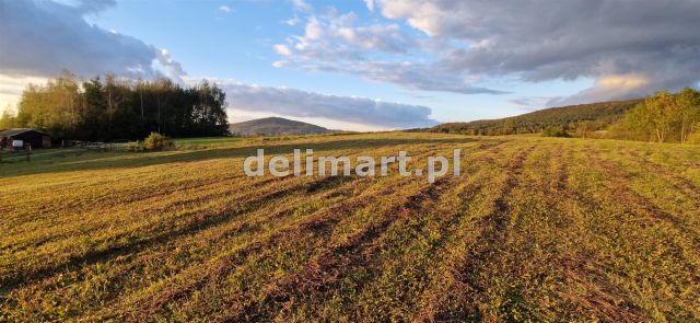 Działka budowlana Srogów Dolny. Zdjęcie 1
