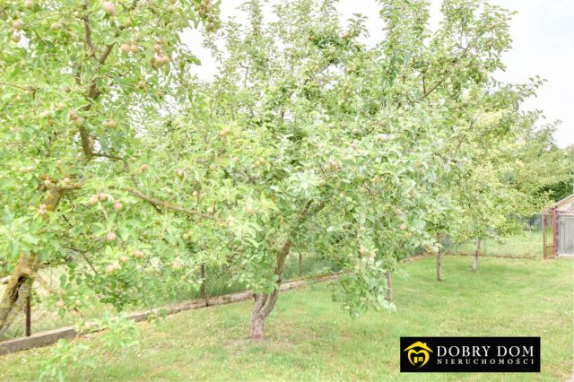 dom wolnostojący, 5 pokoi Zawady. Zdjęcie 11