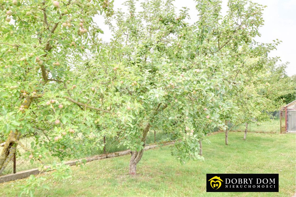 dom wolnostojący, 5 pokoi Zawady. Zdjęcie 11