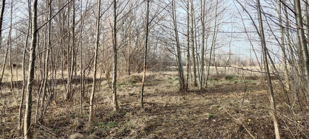 Działka budowlana Basin Zabrody, Wierzbowa. Zdjęcie 2