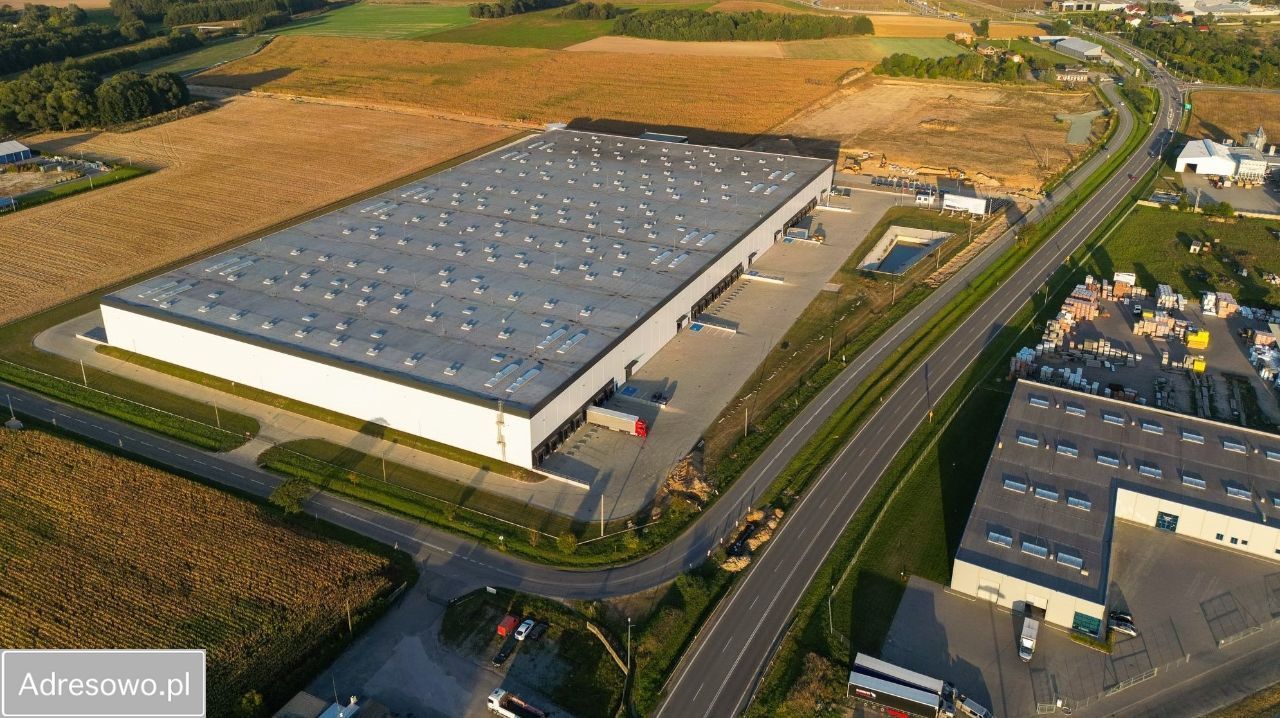 Działka inwestycyjna Krążkowy. Zdjęcie 6