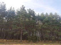 Działka rolna Jerutki. Zdjęcie 2