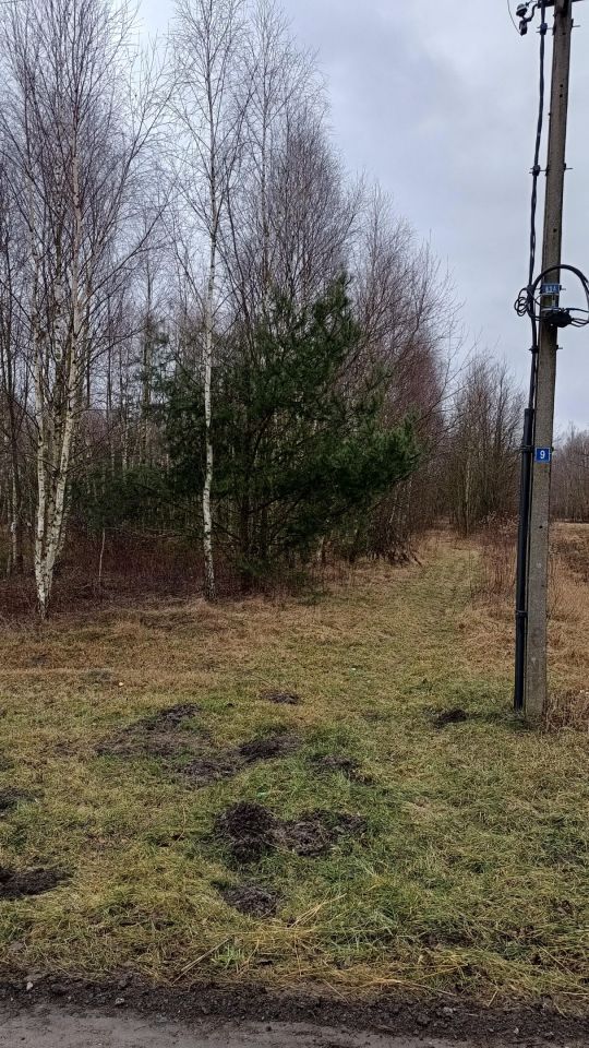 Działka rolno-budowlana Kąty Goździejewskie Drugie. Zdjęcie 4