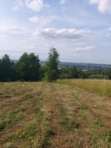 Działka rekreacyjna Jaroszówka. Zdjęcie 4