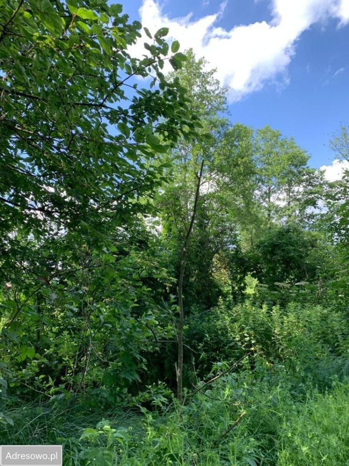 Działka rolno-budowlana Michałki. Zdjęcie 8