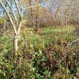 bliźniak, 2 pokoje Nowy Probark. Zdjęcie 3