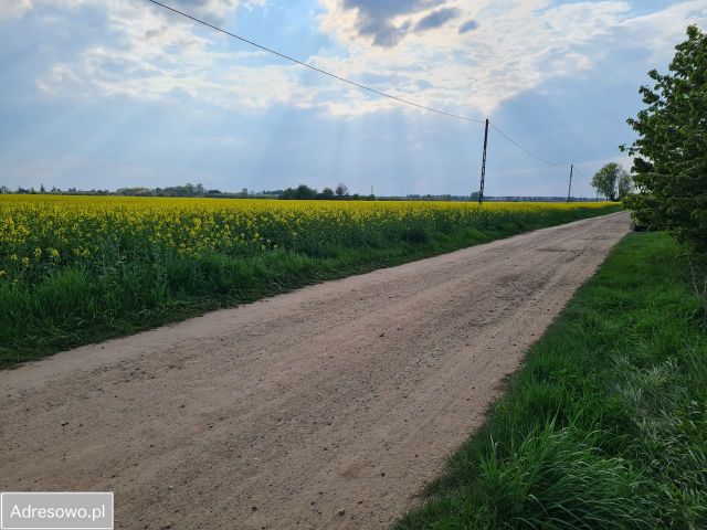 Działka rolna Ruda. Zdjęcie 1