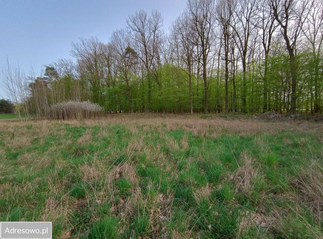 Działka budowlana Biały Bór, ul. Cedrowa. Zdjęcie 1