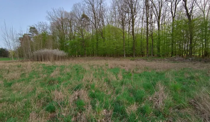 Działka budowlana Biały Bór, ul. Cedrowa