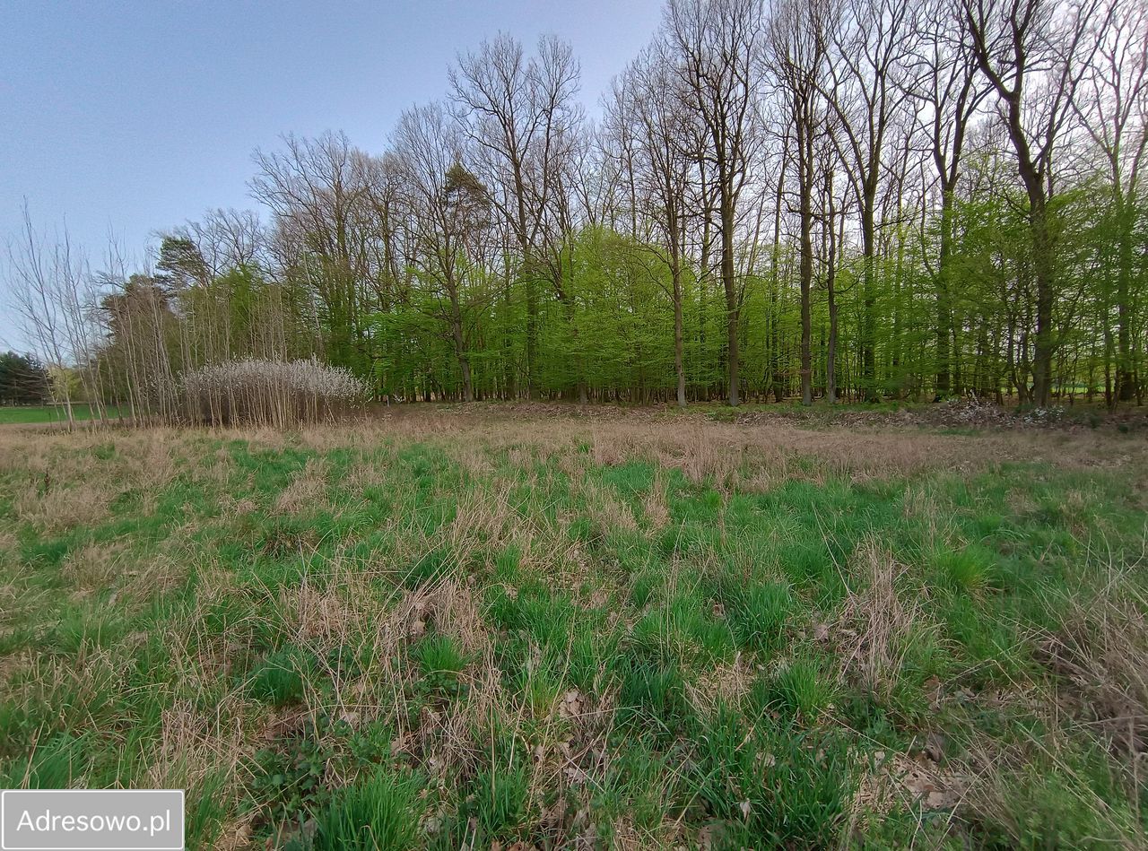 Działka budowlana Biały Bór, ul. Cedrowa. Zdjęcie 1