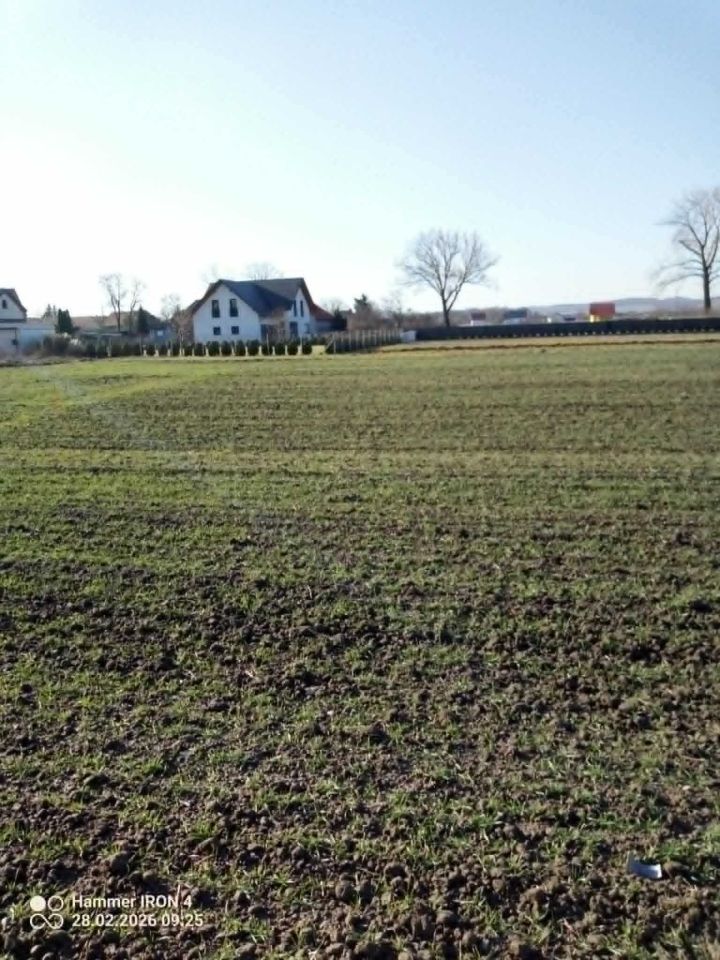 Działka budowlana Piotrowice. Zdjęcie 2