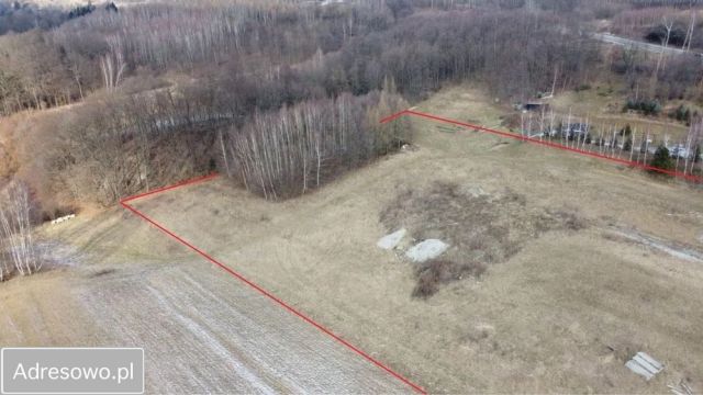 gospodarstwo Okonin. Zdjęcie 1