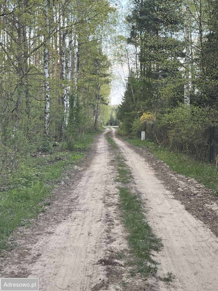 Działka rekreacyjna Rosanów, ul. Młynarska. Zdjęcie 4