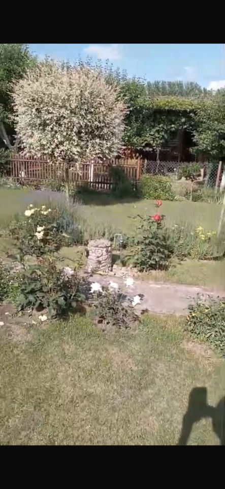 Działka rod Wieluń. Zdjęcie 6