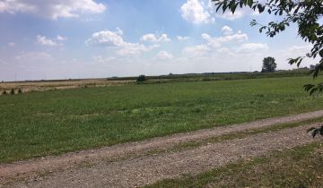 Działka budowlana Daniszyn