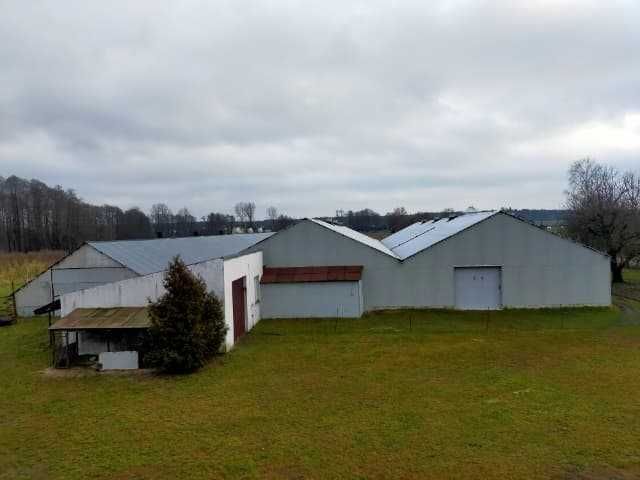 gospodarstwo Rzeszotków. Zdjęcie 4