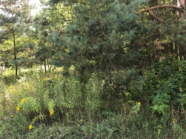 Działka budowlana Runów, ul. Chmielna. Zdjęcie 1