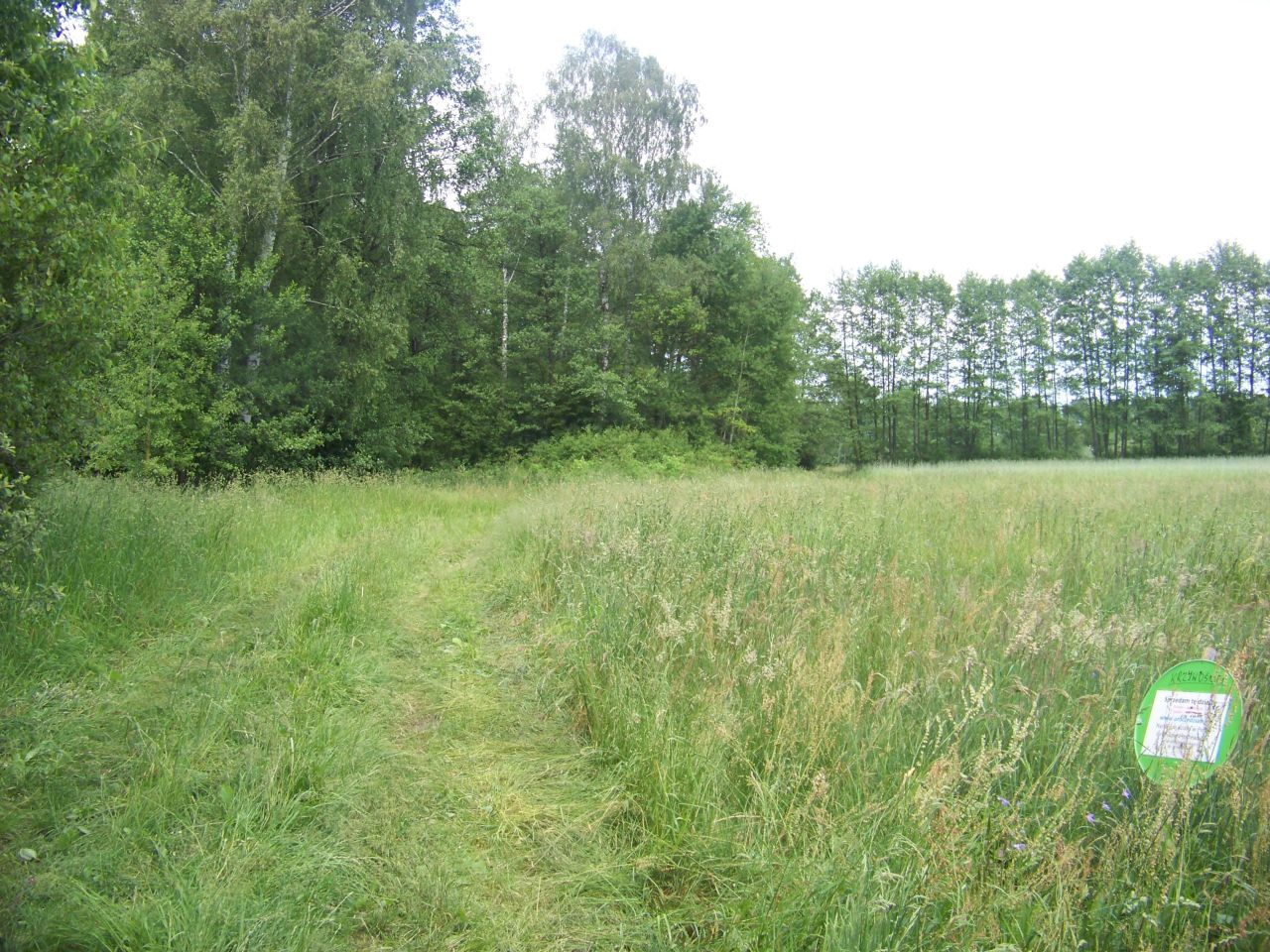 Działka rolno-budowlana Krzywośnity. Zdjęcie 3