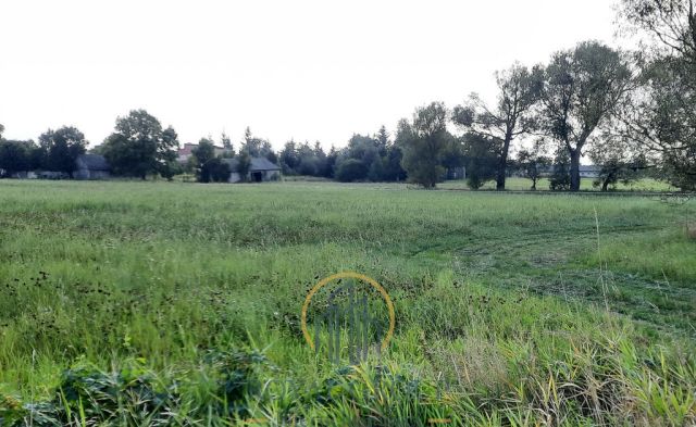 Działka rolna Rudno. Zdjęcie 5