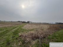 Działka siedliskowa Płonki. Zdjęcie 2