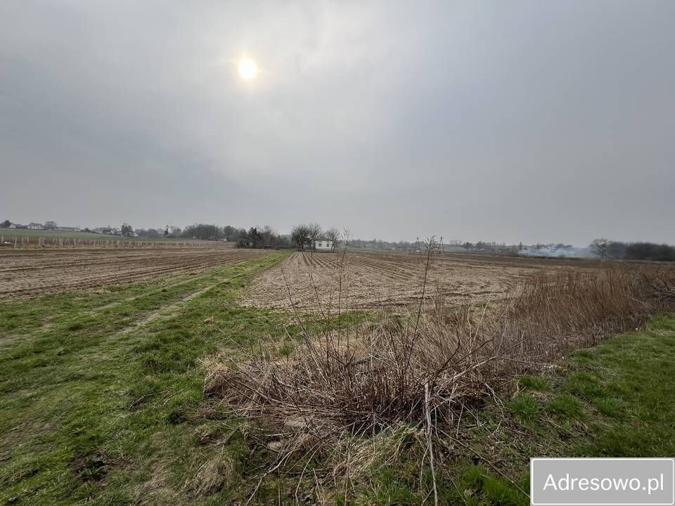 Działka siedliskowa Płonki. Zdjęcie 3