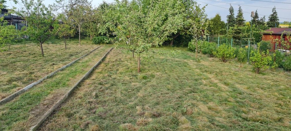 Działka rod Pszów. Zdjęcie 7