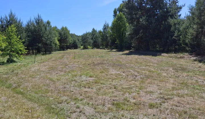 Działka rolno-budowlana Srocko