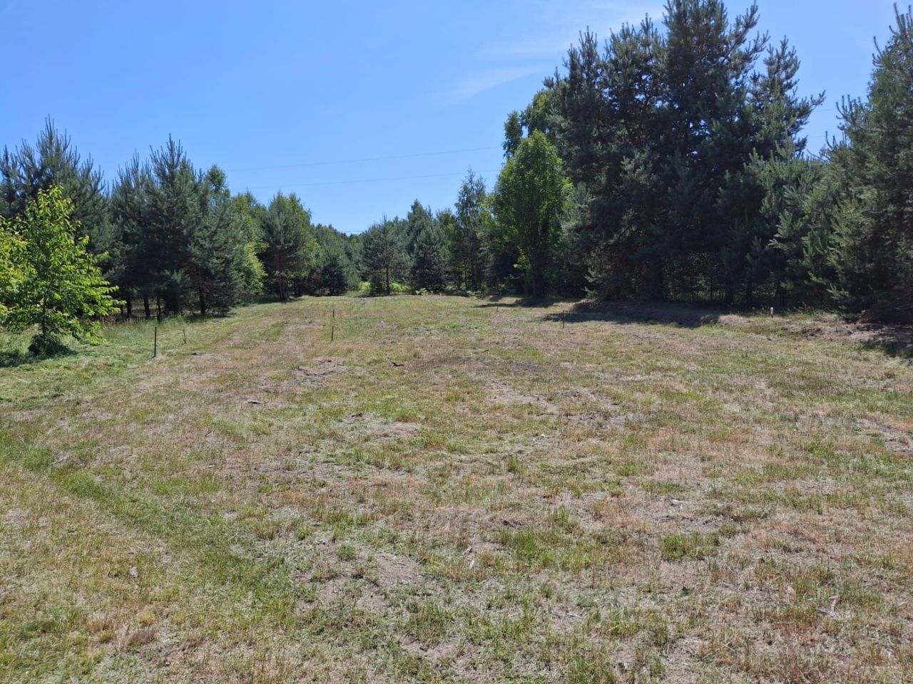 Działka rolno-budowlana Srocko. Zdjęcie 1