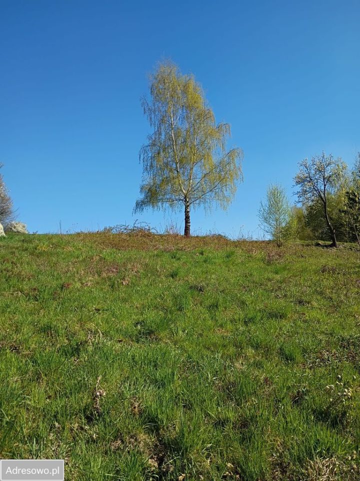 Działka budowlana Gródek nad Dunajcem Koszarka. Zdjęcie 8
