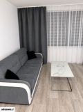 Mieszkanie 1-pokojowe Sosnowiec Pogoń. Zdjęcie 3