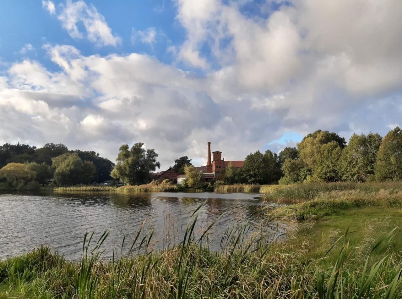 Działka rolna Juchowo. Zdjęcie 3