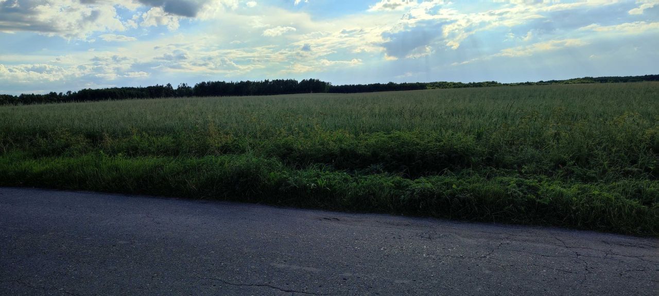 Działka rolna Białogórzyno