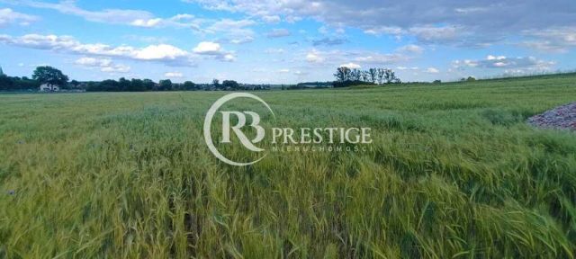 Działka budowlana Bielkowo. Zdjęcie 3